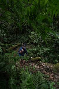 BIB: 
                            <button type="button" onclick="openModal(16029693)" class="btn btn-primary btn-sm float-right btn-popup" data-toggle="modal" data-target=".modal-high-quality">
                        <i class="fas fa-shopping-cart"></i> Add to Cart
                    </button>
                                            <button type="button" onclick="isThisMe(16029693, true)" class="btn btn-success btn-sm float-right btn-popup btn-isme hidden" data-toggle="tooltip" data-placement="bottom" title="นี่คือรูปของคุณใช่ไหม คลิกที่นี่เพื่อเอาเข้าอัลบั้ม">
                        <i class="fas fa-plus"></i> Add to album
                    </button>
                    <button type="button" onclick="isThisMe(16029693, false)" class="btn btn-warning btn-sm float-right btn-popup btn-isnotme hidden">
                        <i class="fas fa-ban"></i> Remove from album
                    </button>